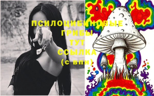экстази Няндома