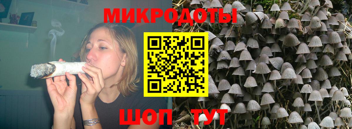 Галлюциногенные грибы Cubensis Удомля
