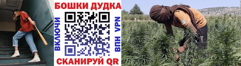МЕГА ССЫЛКА  Удомля  Каннабис сатива 